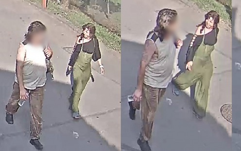 A képen látható nő vert agyon egy teknőst a Fővárosi Állatkertben