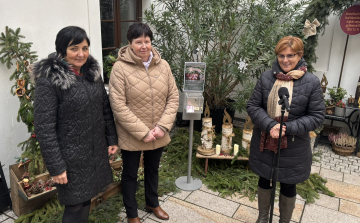 Gyűjtés indult a pápai újszülött osztály támogatására