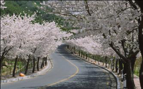 Ezekre figyeljen tavasszal, ha közlekedik