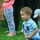 Civil Majális 2017 - Pápa