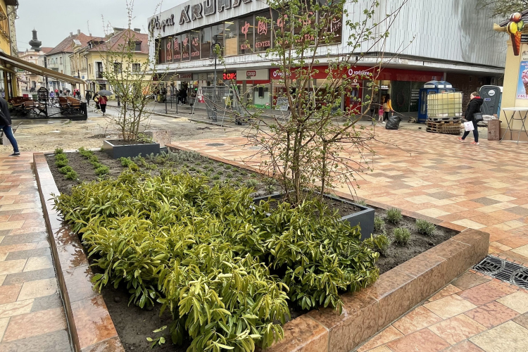 Zöld szigetek a Kossuth utcán