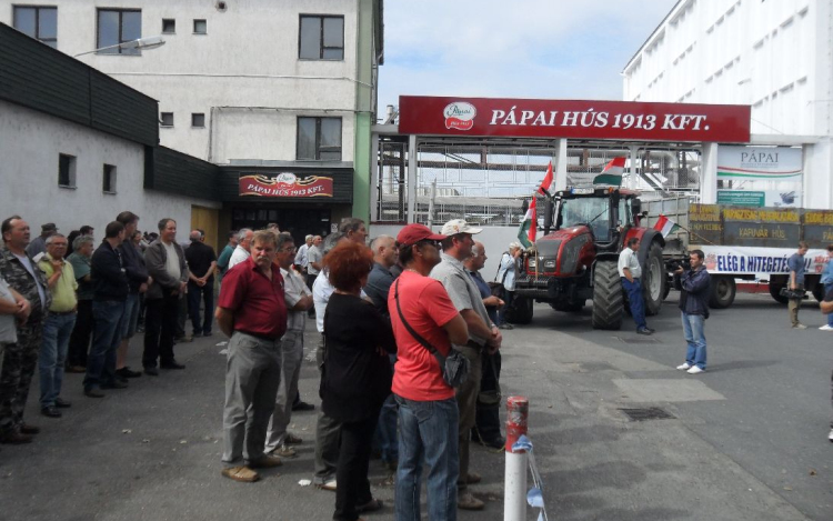 MSZP: Segítség lenne a hús áfájának csökkentése