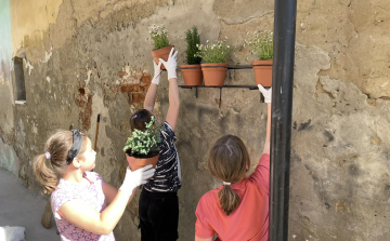 Közletakarítás - Figyelemfelhívó akciót tartottak a Pápai Polgárok