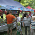 Pápai Játékfesztivál - Szombat - Főzőverseny, Várkerti és Fő téri programok