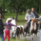 Civil Majális - Pápa - 2013