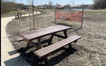 Megrongált egy táblát egy fiatal a Külső-Várkertben