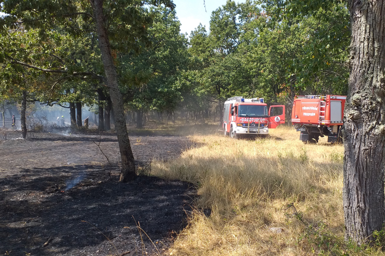 Hetvenkét tűzoltó tizennyolc járművel küzdött a lángokkal