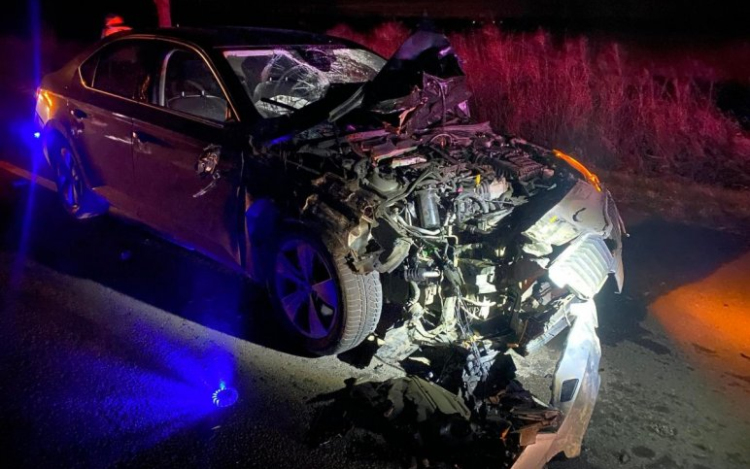 Szarvasvonulásba hajtott bele Hoppál Péter, teljesen összeroncsolódott az autója - fotók