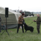 Pápai óvodások és iskolások a Bázisrepülőtéren