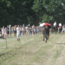 Jótékonysági Sport és Családi Nap - Tapolcafő