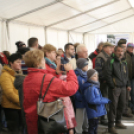 IV. Pápai Böjtelő Böllérverseny (2017)