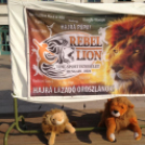 Rebel Lion Táncgála
