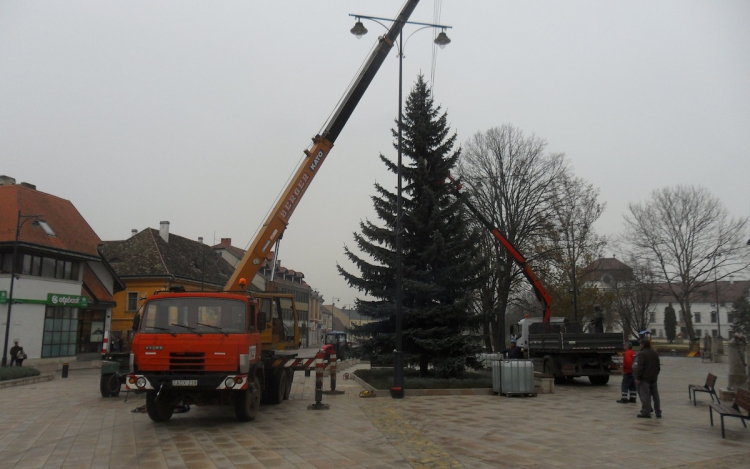 Helyére került a városi karácsonyfa