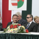 Városi Ballagás - Pápa - 2015