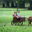 Pápai Játékfesztivál 2019 - Szombat Délután 