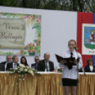 Városi Ballagás - Pápa - 2017