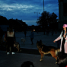 Flashmob az Állatok Világnapján - Pápa