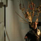 Pápa Csülök Cicege és Borfesztivál (2016) - Szombat