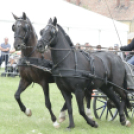 Pápai Agrárexpo 2017 - Szombat