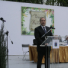 Városi Ballagás - Pápa - 2017