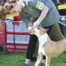 2 x CAC Nemzeti Kutyakiállítás – Pápa