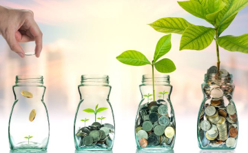 Melyek most a legnépszerűbb befektetési formák Magyarországon?