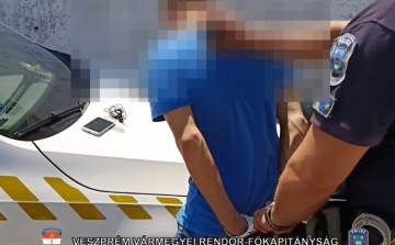 Robogót lopott, a konyhájában rejtegette 