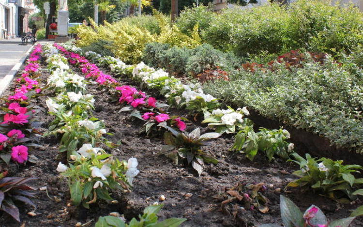 Tiszta és virágos Veszprém megyéért - Ismét kiváló minősítést kapott Pápa