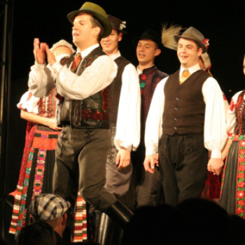 Pápai Csülök-, Cicege- és Borfesztivál - Borpéntek