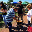 Jó idő és kiváló hangulat a Városrészi Majálison