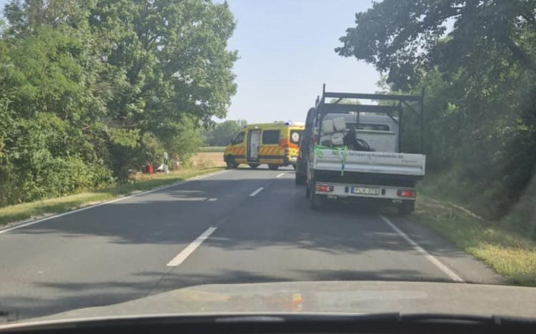 Méhcsípés okozott súlyos balesetet Pápa és Pápakovácsi között