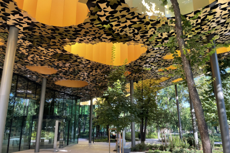 Fudzsimoto Szu: A Zene Háza az egyik legfontosabb projektem