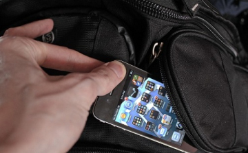 Műszaki cikkeket lopott