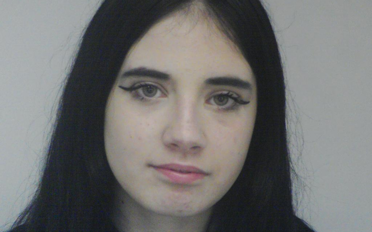 Eltűnt Pitzer Vivien Pápáról!