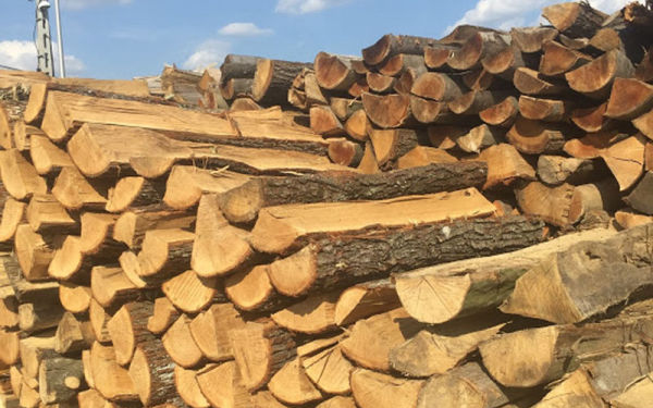 Figyelmeztet a rendőrség! Ezekre figyeljen tűzifavásárláskor