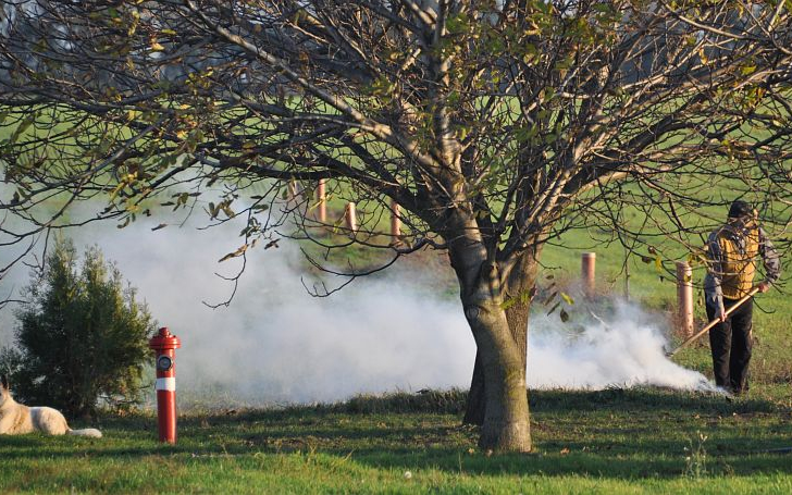 Szabad kerti hulladékot égetni Pápán?