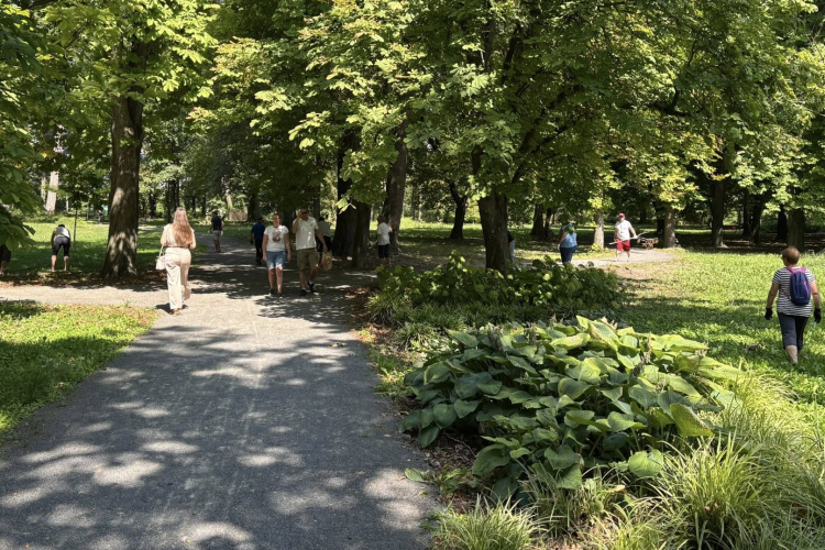 Közösségi összefogásban takarították el civilek a viharkárokat a Várkertben