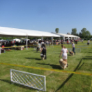 2 x CAC Nemzeti Kutyakiállítás – Pápa