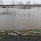 Árad a Bakonyér és a Gerence