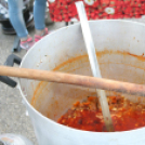 Erzsébetvárosi Nap - Pápa