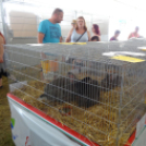 Pápai Agrárexpo - 2018 - Szombat