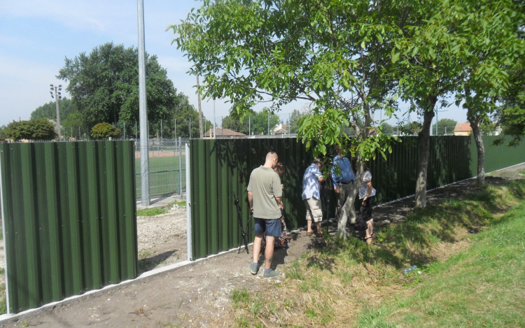 Kerítéscsere és labdafogó háló a Spari-pályán