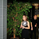 Sittest a Petőfiben