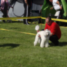 2 x CAC Nemzeti Kutyakiállítás – Pápa