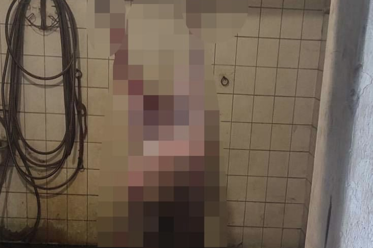 Kegyetlenül bántalmazták az elejtett szarvast, majd egy istállóban dolgozták fel