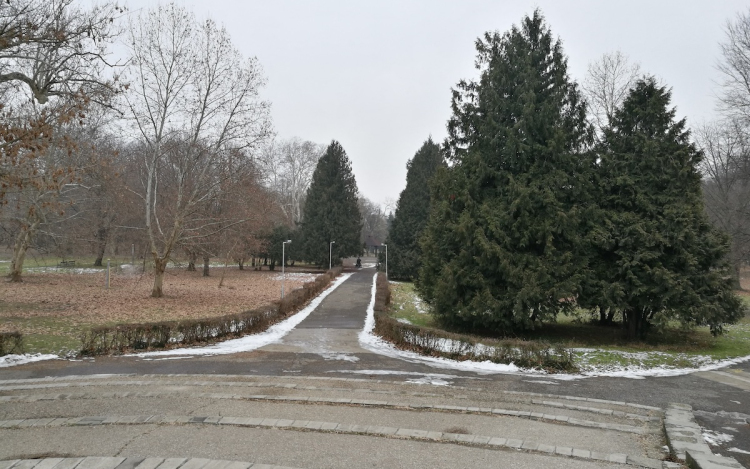 Kezdődnek a fakivágások a Várkertben