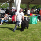 2 x CAC Nemzeti Kutyakiállítás – Pápa