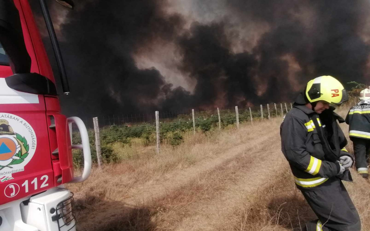 Még mindig küzdenek a lángokkal a tűzoltók, foltokban még ég a növényzet