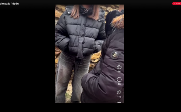 Őrizetben a bántalmazó tinédzserek