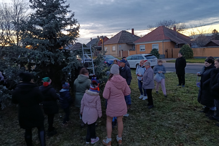 Közösségi fenyődíszítés az Erzsébetvárosban és a Felsővárosban